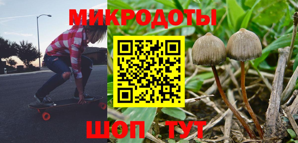 Псилоцибиновые грибы мухоморы Великие Луки