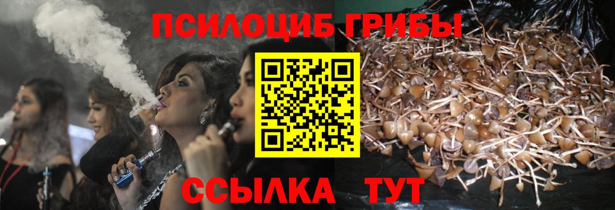 где купить наркотик  Псилоцибиновые грибы Cubensis  Галлюциногенные грибы Magic Shrooms  Вход с VPN  Великие Луки 